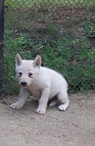Свързани файлове